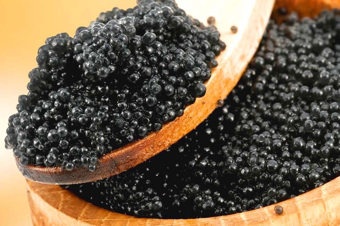 Iranian caviar tour