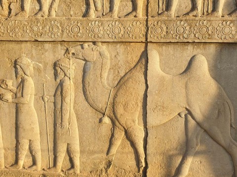 PERSEPOLIS TOUR AS A REVEALING EXCURSION INTO ANCIENT IRAN