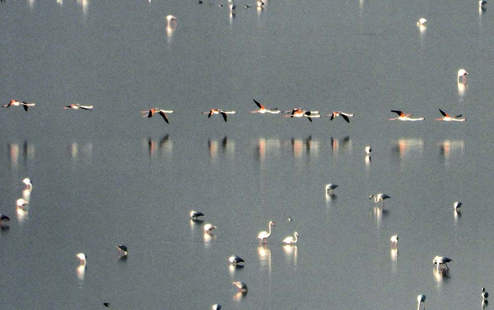 Maharlu lake, Maharloo salt lake