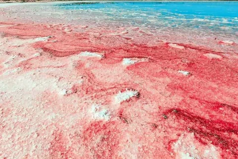 Lipar pink lake, Chabahar, Iran